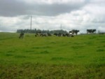 adrspach04 008