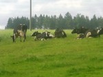 adrspach04 009
