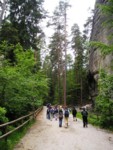 adrspach04 036