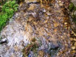 adrspach04 046