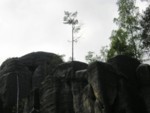 adrspach04 049