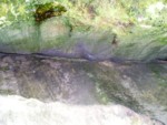 adrspach04 059