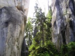 adrspach04 070