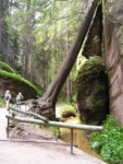 adrspach04 073