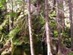 adrspach04 075