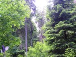 adrspach04 078