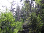 adrspach04 091