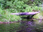 adrspach04 098