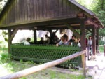 adrspach04 112