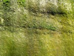 adrspach04 117