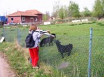 borovinka04 004