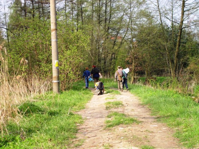 borovinka04 006