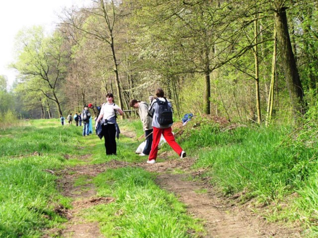 borovinka04 014