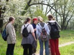 borovinka04 031