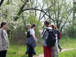borovinka04 033