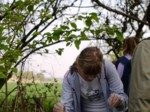 borovinka04 036