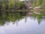 borovinka04 038