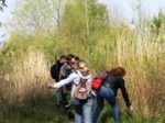 borovinka04 039