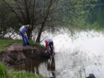 borovinka04 042