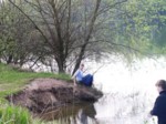 borovinka04 043