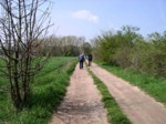 borovinka04 057
