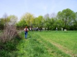 borovinka04 058