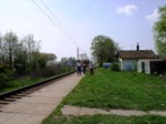 borovinka04 059