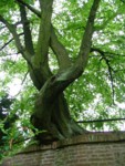 hasici05 018