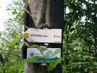 Highlight for album: Pecka 2005