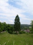 pecka05 008