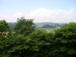 pecka05 016