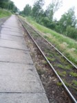 pecka05 100