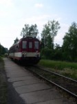 pecka05 101