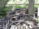 praha zoo05 012