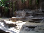 praha zoo05 014