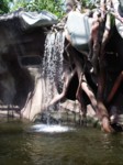 praha zoo05 016