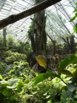 praha zoo05 018