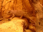 praha zoo05 022