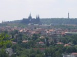 praha zoo05 048