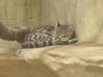 praha zoo05 060