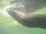 praha zoo05 067