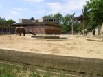 praha zoo05 073