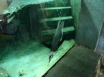 praha zoo05 091
