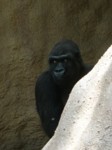 praha zoo05 101