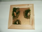 DSCF0024