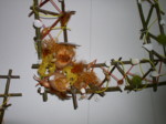 P1010026