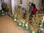 P1010038