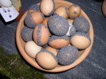 P1010043