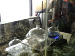 DSCF0065