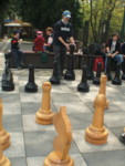 DSCF0115